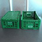 Meyve Sebze için Yeşil Plastik Saklama Kasası 600x400x220cm