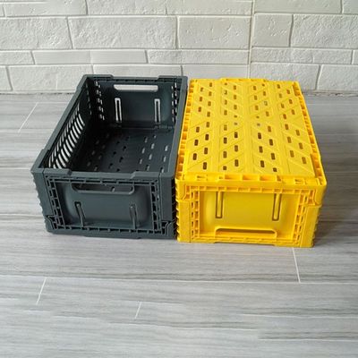 Kalite Snack Fruit için Küçük Bacalı Katlanabilir Depolama Kasası PP Plastik fabrika